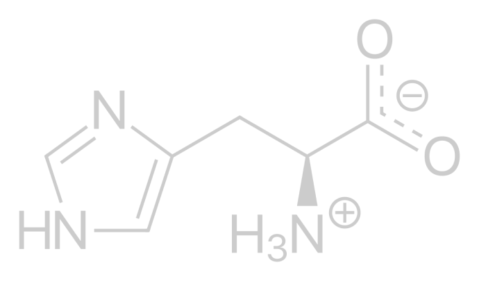 L-Histidine_physiological 1