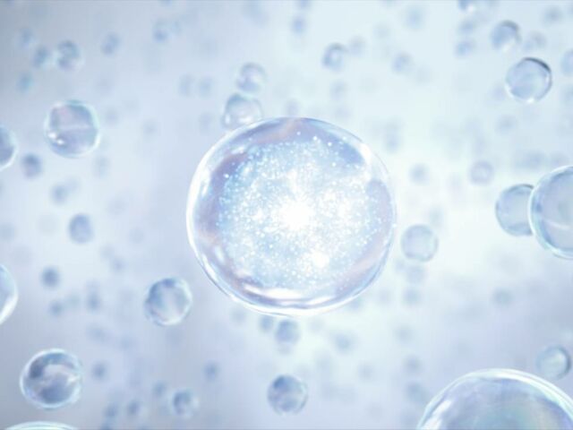 What-are-the-Different-Types-of-Biomarkers-