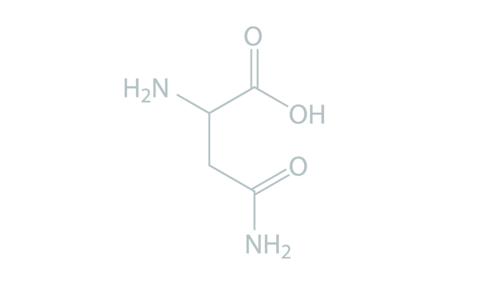 AA_Asparagine