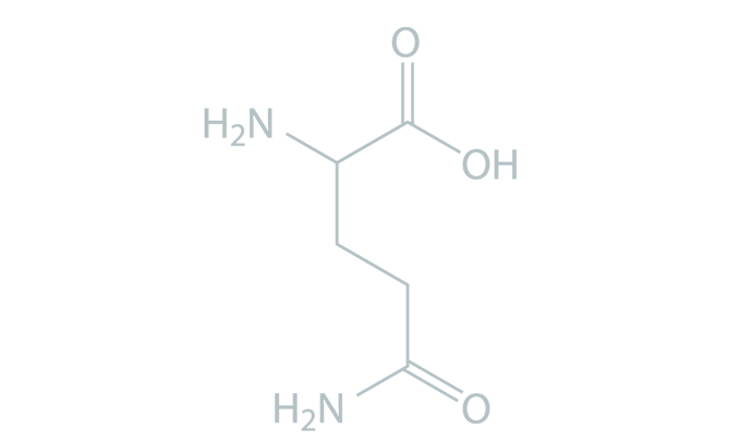 AA_Glutamine