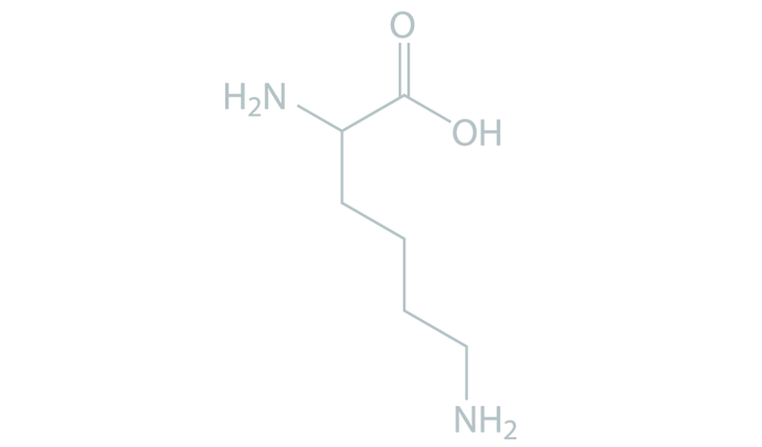 AA_Lysine