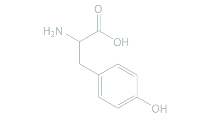 AA_Tyrosine