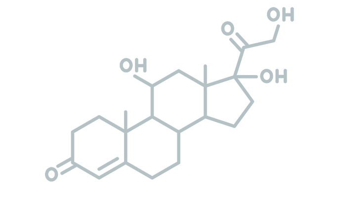 H_Cortisole