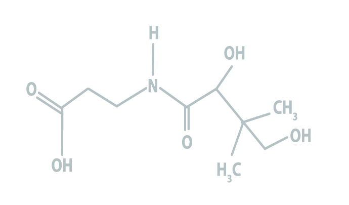 Vitamins-B5